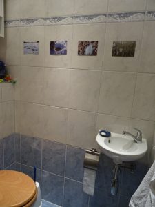 toilet gallery